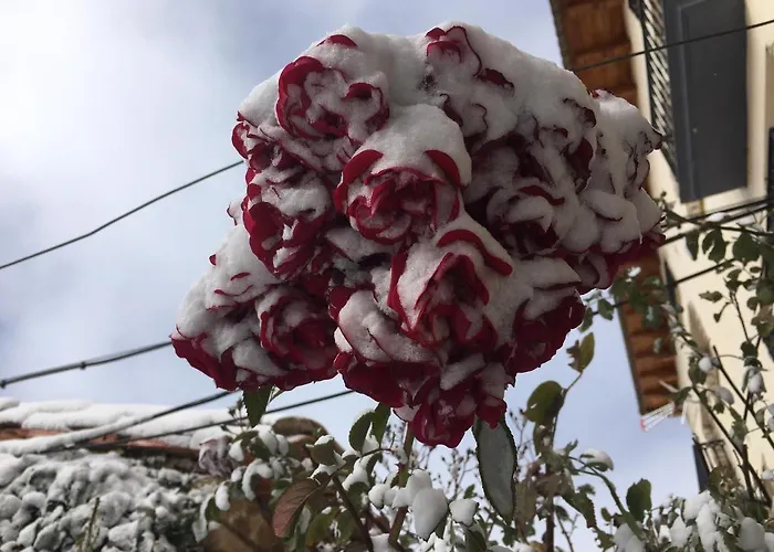 Alpstuga Casa Ines *