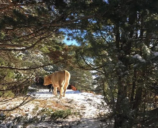 Casa Ines * Valdelinares (Aragon)